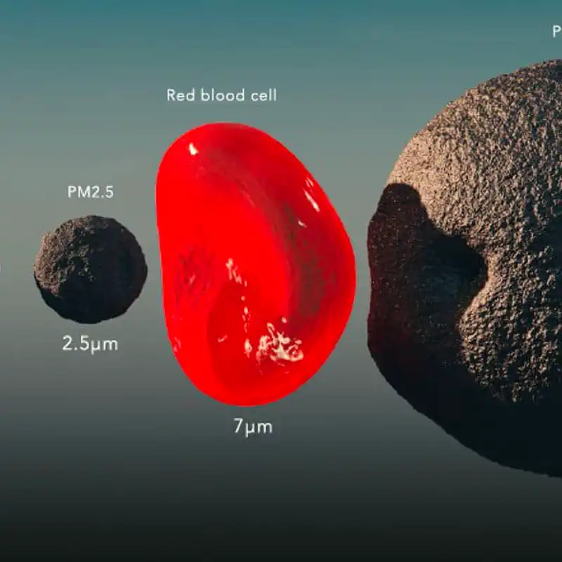 what size particle does hepa filter